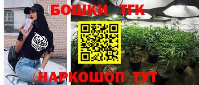 МДПВ Котовск