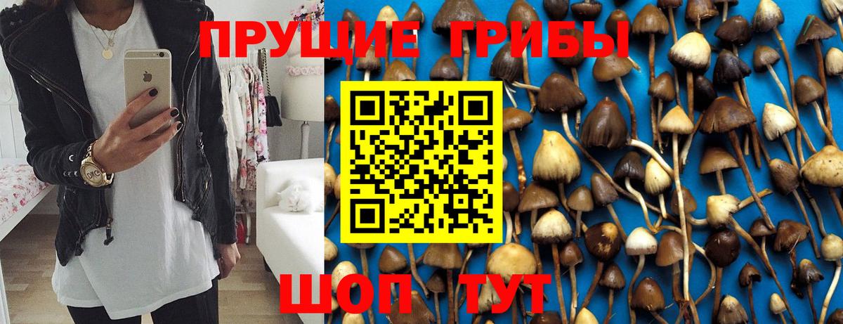 Галлюциногенные грибы прущие грибы Ялуторовск