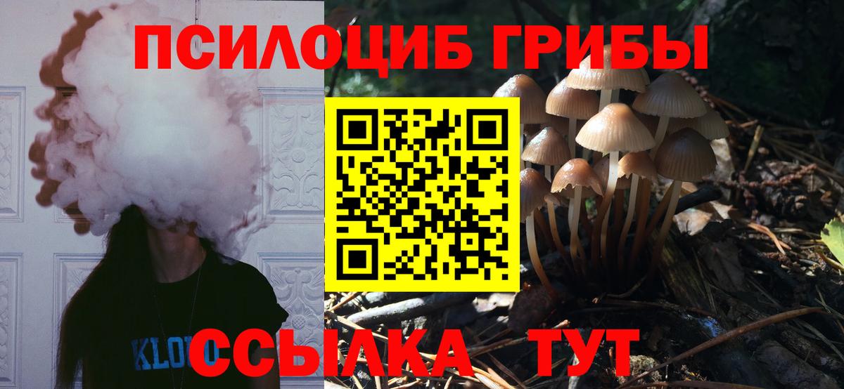 Псилоцибиновые грибы мухоморы  Вход с VPN  Ялуторовск 
